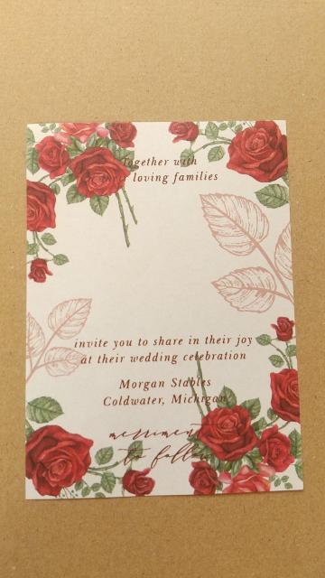 �K�N���@�f�U�C�������@�T��ނT�� �� �C���e���A/���C�t�� 