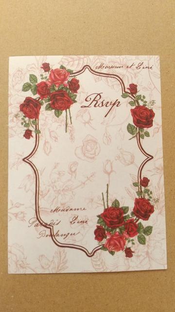 �K�N���@�f�U�C�������@�T��ނT�� �� �C���e���A/���C�t�� 