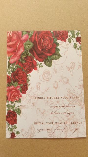 �K�N���@�f�U�C�������@�T��ނT�� �� �C���e���A/���C�t�� 