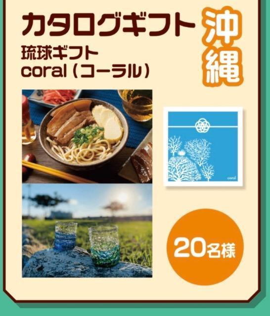 �^�C�A�b�v����B/����J�^���O�M�t�g/40���l1�� �� �`�P�b�g/������ 