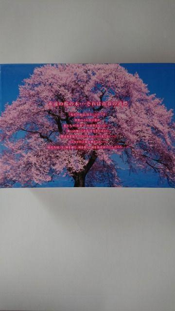 AKB48 桜からの手紙 豪華版 DVD-BOX 5枚組 < タレントグッズ  AKB48 桜からの手紙 豪華版 DVD-BOX 5枚組 < タレントグッズの