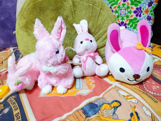 ウサギ ぬいぐるみ 4個 まとめ売り < おもちゃ  ウサギ ぬいぐるみ 4個 まとめ売り  < おもちゃの