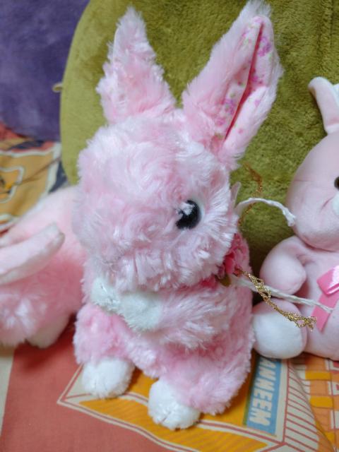 ウサギ ぬいぐるみ 4個 まとめ売り < おもちゃ  ウサギ ぬいぐるみ 4個 まとめ売り < おもちゃの