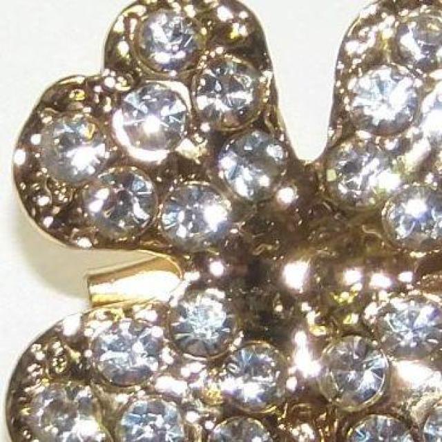 �l�t�̃N���[�o�[�@�u���[�`�@���y���s���@�s���o�b�W�@���C���X�g�[���@���F �� �����A�N�Z�T���[/���v�� 