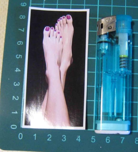 �t�F�e�B�b�V���@�����@�X�e�b�J�[  �� �z�r�[�� 