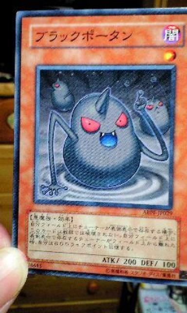 遊戯王【闇・ブラックボータン】 < トレーディングカード  遊戯王【闇・ブラックボータン】  < トレーディングカードの