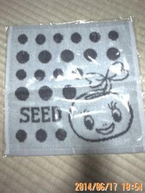 ~j^InJ`SEED   CeA/Ct 