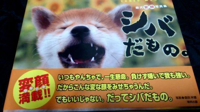 VóB@Č̎ʐ^W   {/G 