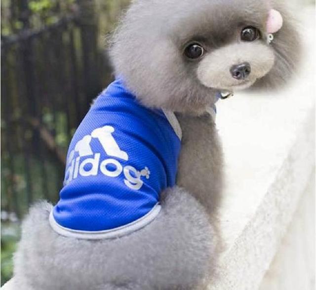 adidog メッシュタンクトップ M ブルー★新品 〜3kg位 < ペット/手芸/園芸  adidog メッシュタンクトップ M ブルー★新品 〜3kg位  < ペット/手芸/園芸の