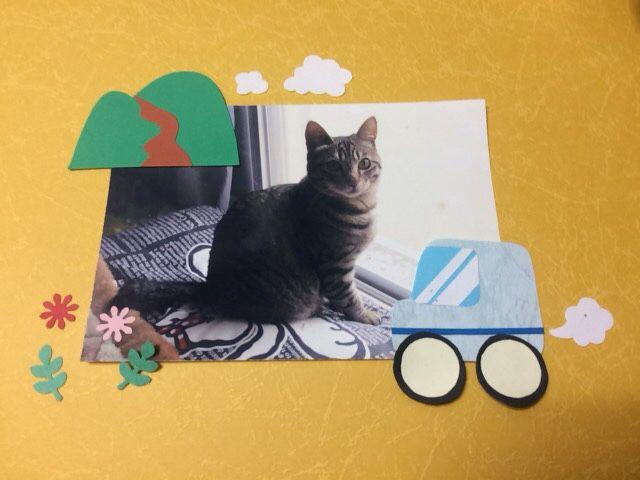 ݂ӂ遙NtgoihCuZbgvX̏oił  LbY/xr[ 