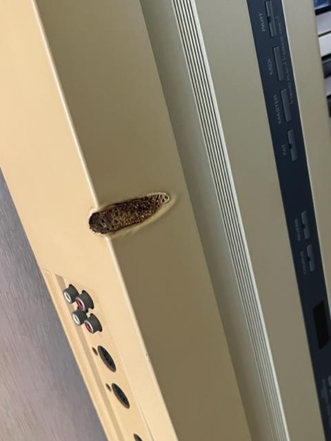 Roland SC-50 本体のみ 中古品 < ホビー  Roland SC-50 本体のみ 中古品 < ホビーの