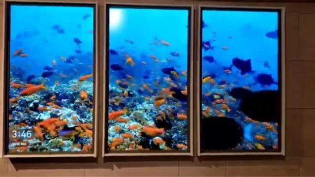 AgtWindows2   Ɠd/AV 