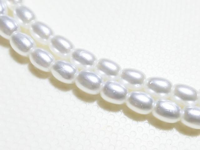 �V�R�΁��W���p�[���i�z���C�g�j�ɏ��@���C�X�@�P�A �� �����A�N�Z�T���[/���v�� 