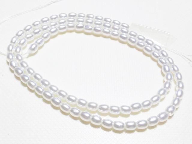 �V�R�΁��W���p�[���i�z���C�g�j�ɏ��@���C�X�@�P�A �� �����A�N�Z�T���[/���v�� 