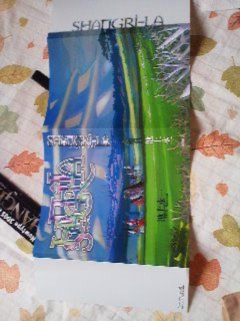 池上永一 シャングリ・ラ替カバー < アニメ/コミック/キャラクター  池上永一 シャングリ・ラ替カバー < アニメ/コミック/キャラクターの