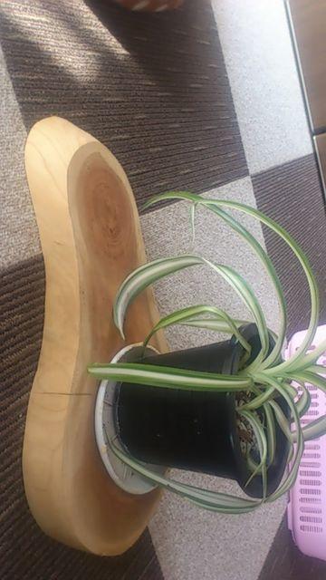 けやきの木!置き台、手作り幻想的な木模様 < インテリア/ライフ  けやきの木!置き台、手作り幻想的な木模様 < インテリア/ライフの