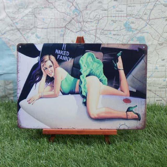 新品【ブリキ看板】Pin-up Girl/ピンナップガール Naked Fanny < ホビー  新品【ブリキ看板】Pin-up Girl/ピンナップガール Naked Fanny  < ホビーの