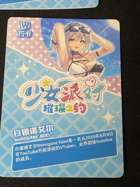 SSR �z�����C�u �s�m�΃t���A/����m�G��/�n�R�X�E�x�[���Y & �A�Y�[�����[�� �v�����c�E�n�C�����q �����h? ??�V? �� ��������� 