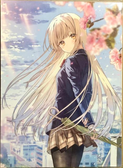 ���ׂ̓V�g�l�ɂ��̊Ԃɂ��ʖڐl�Ԃɂ���Ă����� Vol.1 Blu-ray  �� CD/DVD/�r�f�I�� 