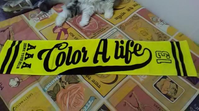 AAAEDOME  TOUR  2018}t[^IEF    ^gObY 