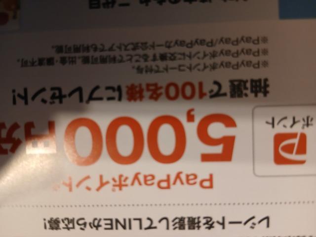 PayPay|Cg5000~郌V[gP 