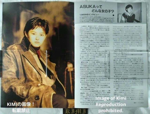 �Ԃ̂������g�I �f�� �p���t���b�g �{ 1988 �݂��݂� Hana no Asuka-gumi! Movie Pamphlet �� �z�r�[�� 