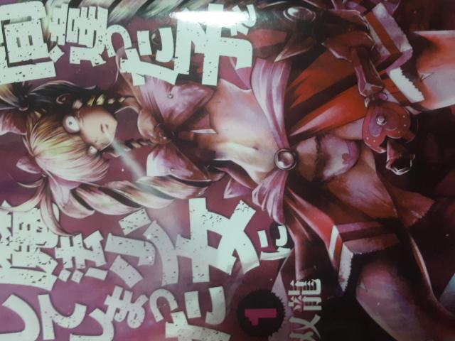 双龍「間違った子を魔法少女にしてしまった」@〜C4冊セット。送料無料。 < アニメ/コミック/キャラクター  双龍「間違った子を魔法少女にしてしまった」@〜C4冊セット。送料無料。  < アニメ/コミック/キャラクターの