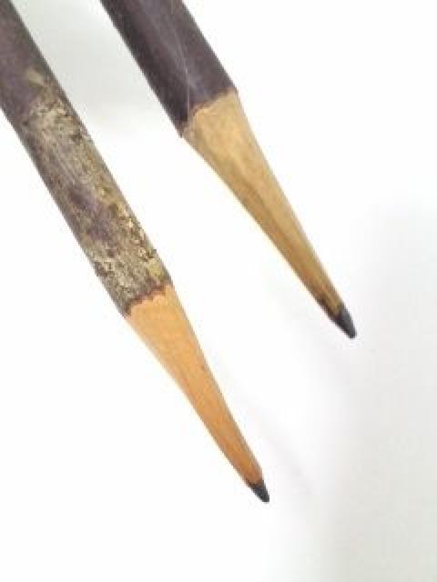 本物の木の枝◎鉛筆2本◎ナチュラルインテリアに◎ < インテリア/ライフ 本物の木の枝◎鉛筆2本◎ナチュラルインテリアに◎ < インテリア/ライフの