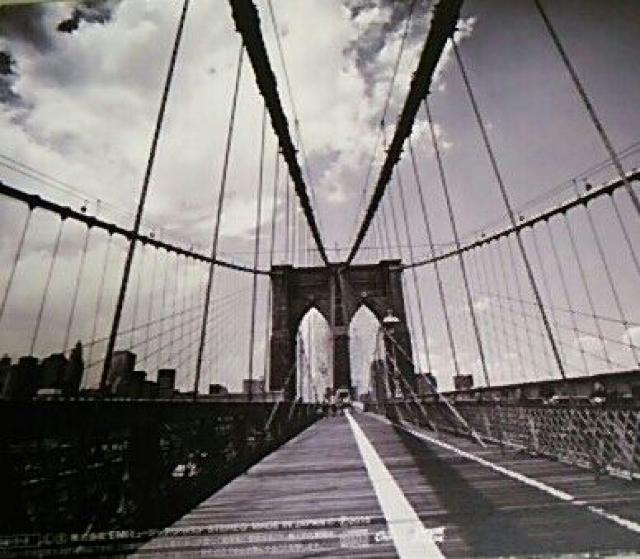 WPbgCD X "B"ORDERESS XebJ[t  ^gObY 