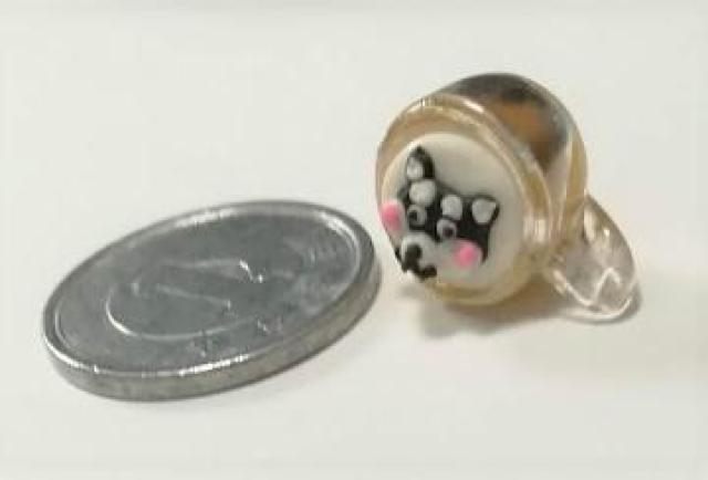 ~j`A񁚃Jv`[mJbv~jBh[   