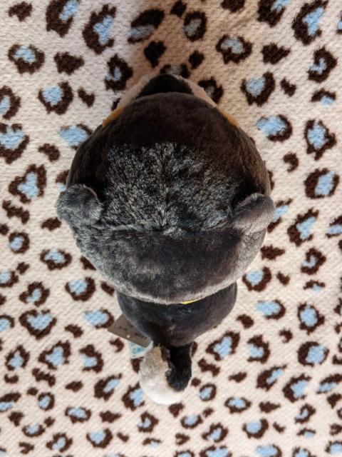 豆しば三兄弟  ぬいぐるみ  豆ジロー  日本の和  豆柴  柴犬 < おもちゃ  豆しば三兄弟  ぬいぐるみ  豆ジロー  日本の和  豆柴  柴犬 < おもちゃの