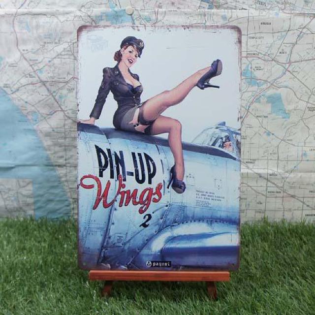 ViyuLŔzPin-up Girl^sibvK[@Wings   zr[ 