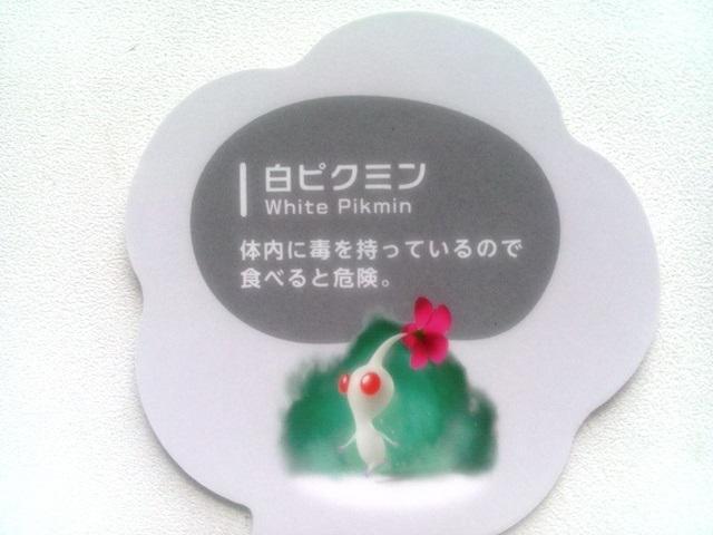 䎆 CV sN~4 sN~ 񔄕i  zr[ 