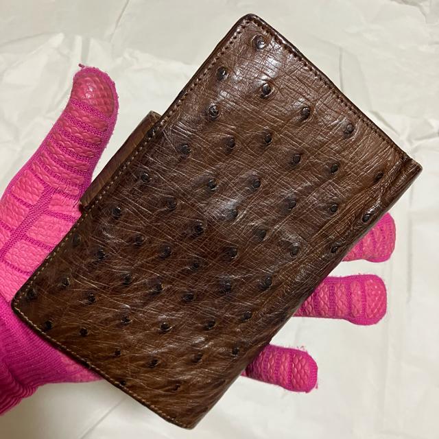 【ノーブランド扱い】【オーストリッチ】 レザー / 二つ折り財布(小銭入れあり) < 女性ファッション 【ノーブランド扱い】【オーストリッチ】 レザー / 二つ折り財布(小銭入れあり) < 女性ファッションの