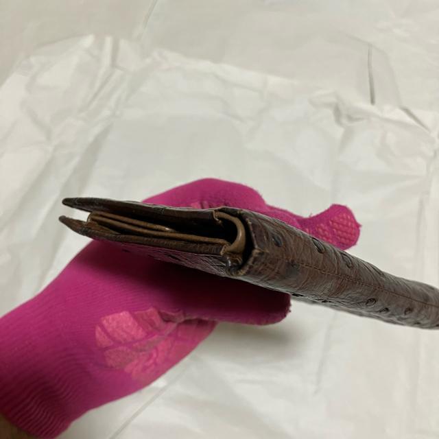 【ノーブランド扱い】【オーストリッチ】 レザー / 二つ折り財布(小銭入れあり) < 女性ファッション 【ノーブランド扱い】【オーストリッチ】 レザー / 二つ折り財布(小銭入れあり) < 女性ファッションの