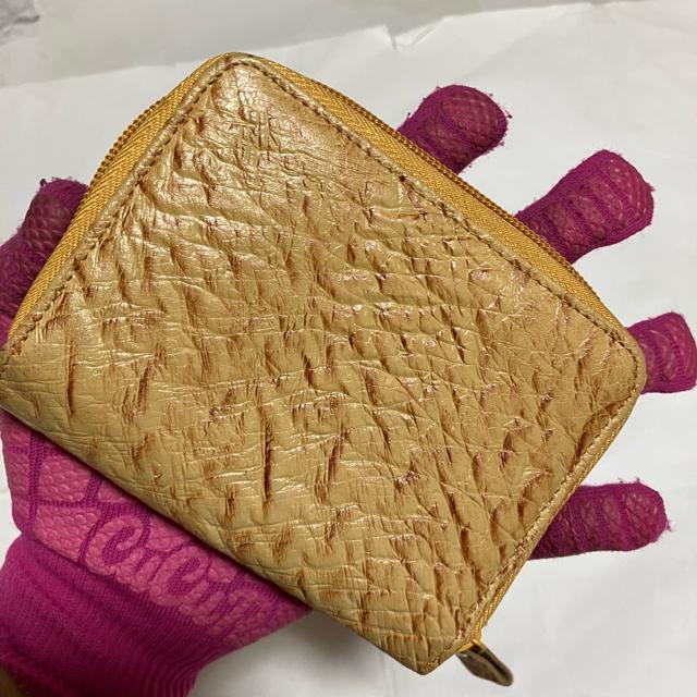 yx[VbNt@Ng[z I[Xgb` / Eht@Xi[ ܂z  t@bV 