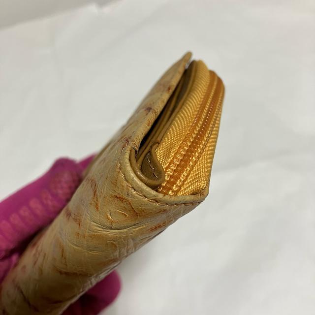 yx[VbNt@Ng[z I[Xgb` / Eht@Xi[ ܂z  t@bV 