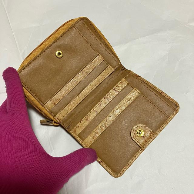 yx[VbNt@Ng[z I[Xgb` / Eht@Xi[ ܂z  t@bV 