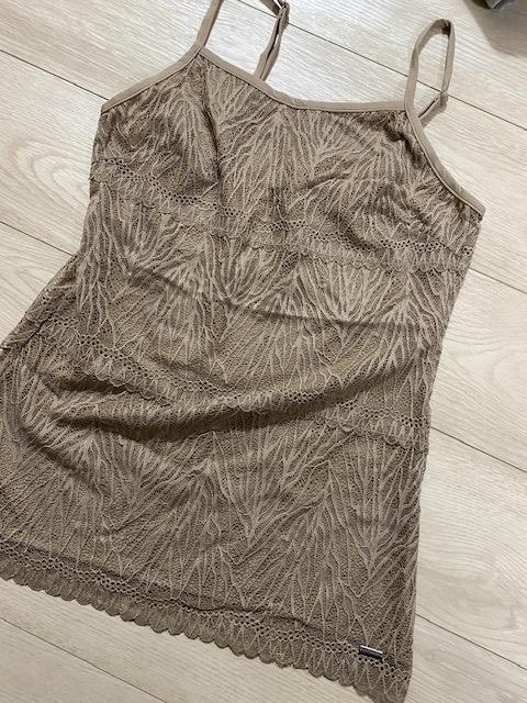 C^AC|[gFfBbV}verdissima[XgbvXL~   t@bV 