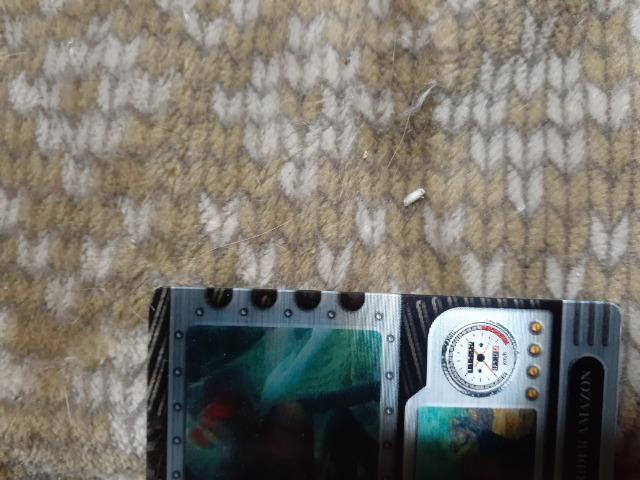 仮面ライダーアマゾン(カード) < トレーディングカード  仮面ライダーアマゾン(カード)  < トレーディングカードの