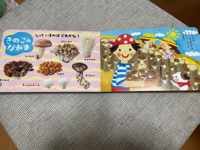 絵本 ひかりのくに < 本/雑誌  絵本 ひかりのくに < 本/雑誌の