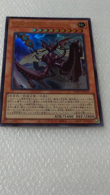 樹冠の甲帝ベアグラム < トレーディングカード  樹冠の甲帝ベアグラム  < トレーディングカードの