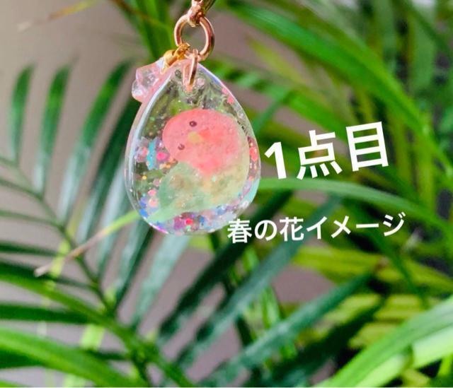 コザクラインコ チャーム 2点セット 送料無料 < 女性ファッション  コザクラインコ チャーム 2点セット 送料無料 < 女性ファッションの