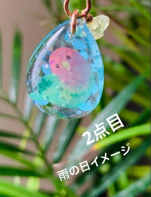 コザクラインコ チャーム 2点セット 送料無料 < 女性ファッション  コザクラインコ チャーム 2点セット 送料無料 < 女性ファッションの