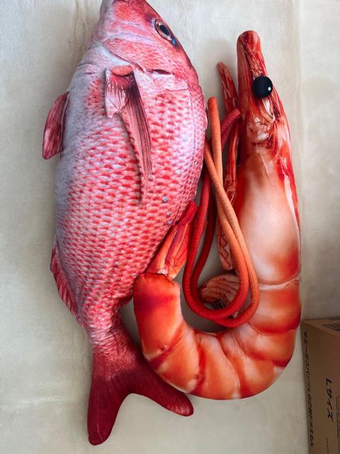 ���A�� �C�̐����� �ʂ������ ��ƃG�r�̃Z�b�g �N�b�V���� ������  �� ��������� 