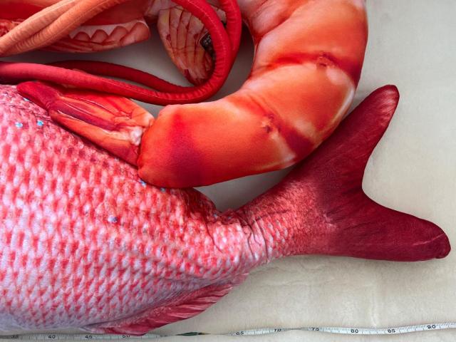 ���A�� �C�̐����� �ʂ������ ��ƃG�r�̃Z�b�g �N�b�V���� ������ �� ��������� 