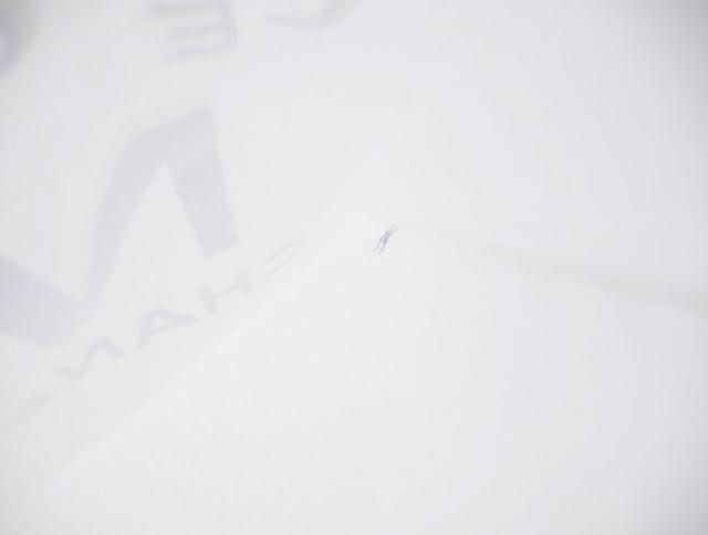 ル グラン ヌメロ ドゥ シャネル ノベルティ トートバッグ パリ 展覧会 LE GRAND No DE CHANEL【正規品】 < ブランド ル グラン ヌメロ ドゥ シャネル ノベルティ トートバッグ パリ 展覧会 LE GRAND No DE CHANEL【正規品】 < ブランドの