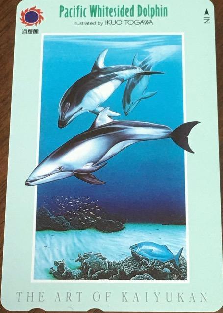 CVف@CJ@gp50xeJ   `Pbg/ 