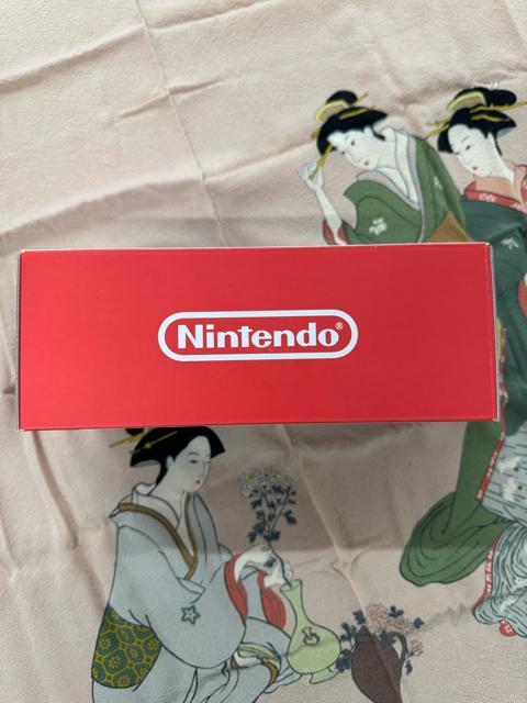 yVizCV jeh[XCb` Cg@Nintendo Switch Lite { HDH-S-BBZAA u[  Q[{/\tg 