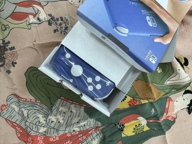 yVizCV jeh[XCb` Cg@Nintendo Switch Lite { HDH-S-BBZAA u[  Q[{/\tg 